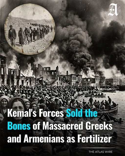 Kemal's Forces old the Bones of Massacred Greeks and Armenians as Fertilizer